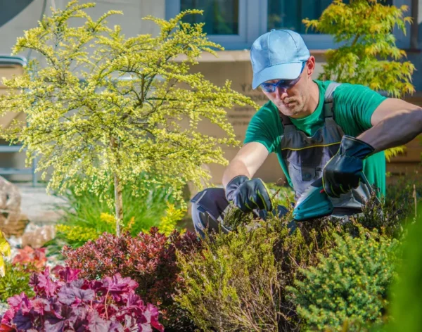 5201669c47f7ec7c909e9568c17c8a9d473bfc5c 5201669c47f7ec7c909e9568c17c8a9d473bfc5c